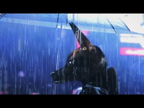 Bouchra — Official trailer