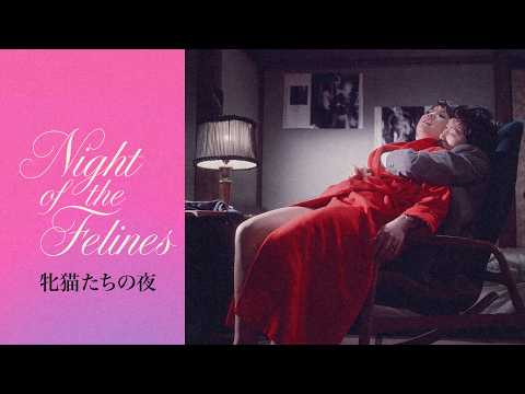 Night of the Felines — Official trailer